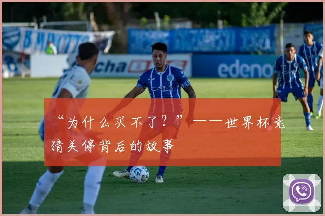 “为什么买不了？”——世界杯竞猜关停背后的故事