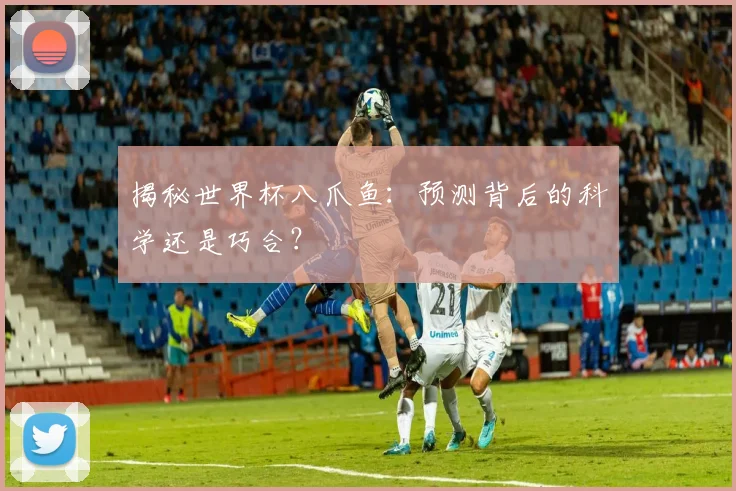 揭秘世界杯八爪鱼：预测背后的科学还是巧合？