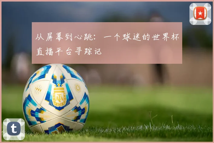 从屏幕到心跳：一个球迷的世界杯直播平台寻踪记