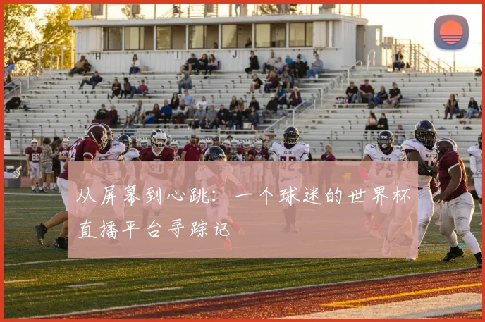 从屏幕到心跳：一个球迷的世界杯直播平台寻踪记