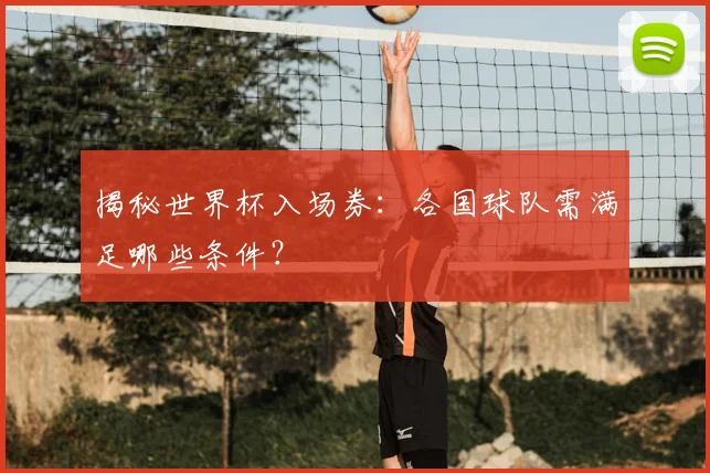 揭秘世界杯入场券：各国球队需满足哪些条件？
