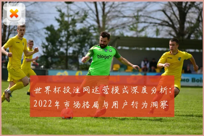 世界杯投注网运营模式深度分析：2022年市场格局与用户行为洞察