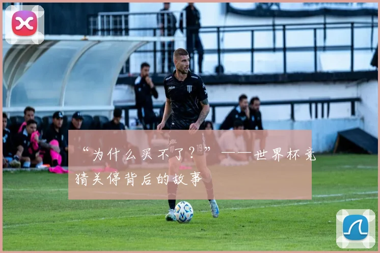“为什么买不了？”——世界杯竞猜关停背后的故事