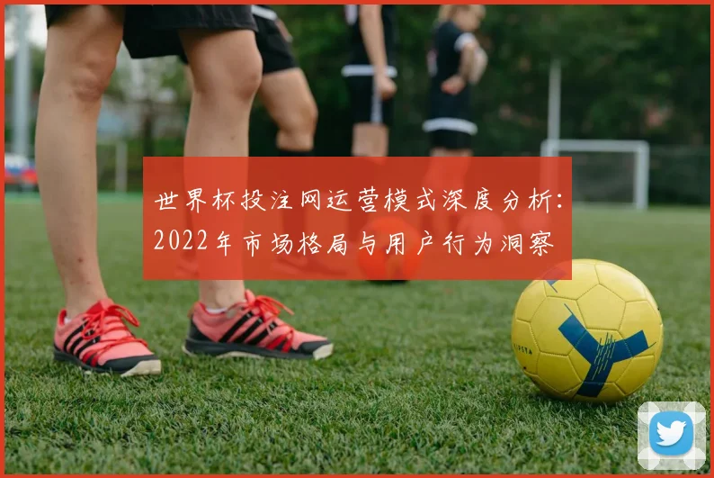 世界杯投注网运营模式深度分析:2022年市场格局与用户行为洞察