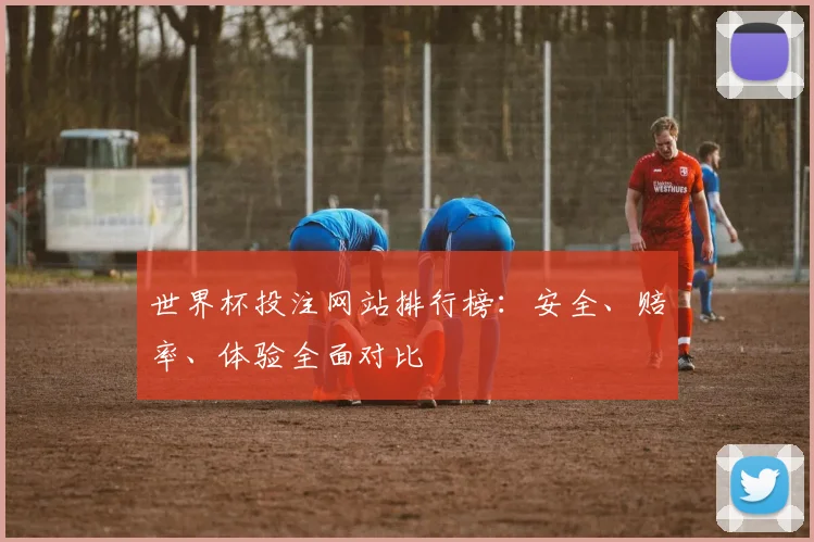 世界杯投注网站排行榜:安全、赔率、体验全面对比