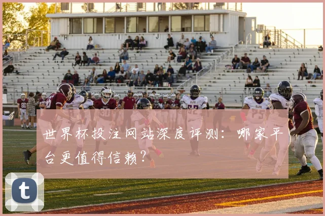 世界杯投注网站深度评测：哪家平台更值得信赖？
